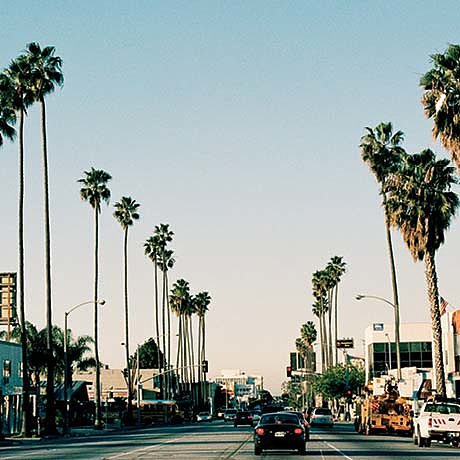 ILSU_Photo_LosAngeles_desktop2.jpg