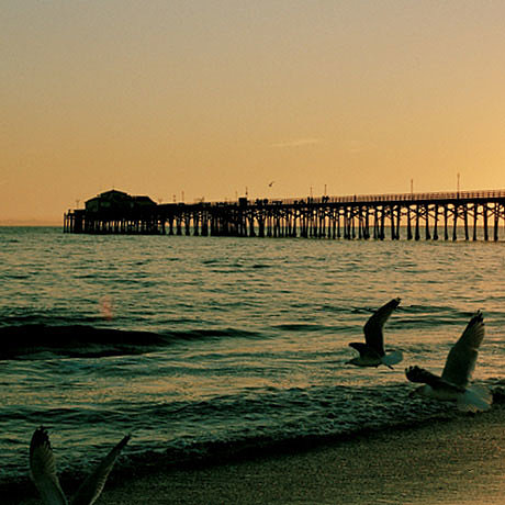 ILSU_Photo_LosAngeles_desktop10.jpg