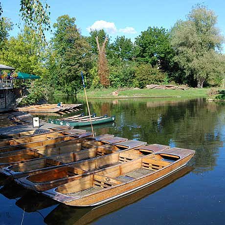 ILSU_Photo_CAM_desktop_11.jpg