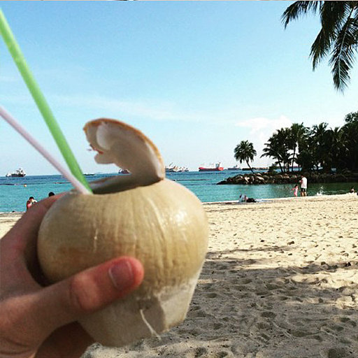 07SL_ILSU_Singapore_efmoment_dimitrigenin.jpg