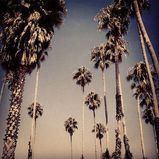 03SL_ILSU_sandiego_EF_Instagram_03.jpg