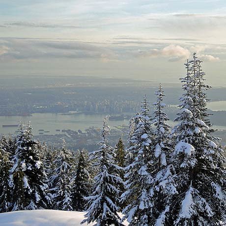 ILSU_Photo_Vancouver_desktop4.jpg