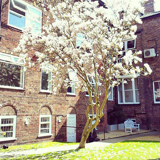 07SL_ILSU_Manchester_efmoment_elibets87.jpg