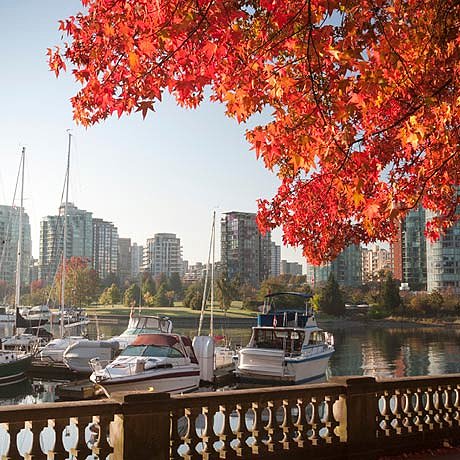 ILSU_Photo_Vancouver_desktop10.jpg