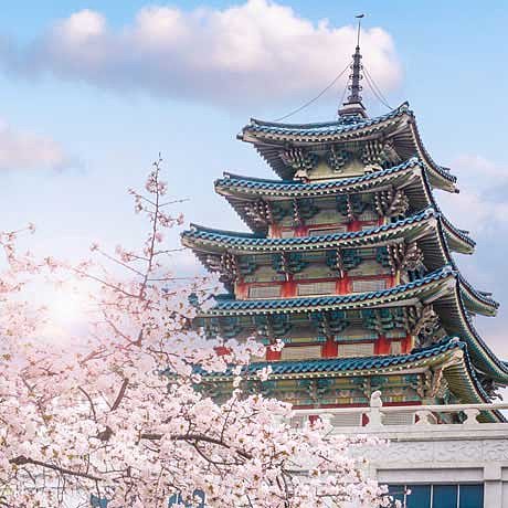 ILSU_Photo_Seoul_desktop6.jpg