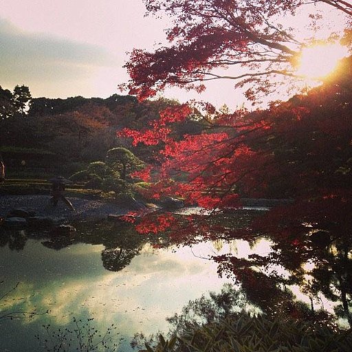 03SL_ILSU_tokyo_EF_Instagram_EF_Student_Isabel_Jimenez_Medina_08.jpg